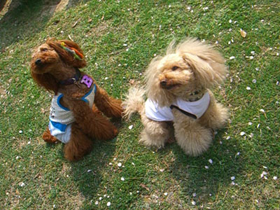 c0115145_21481476.jpg