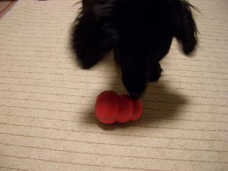 f0107145_11295411.jpg