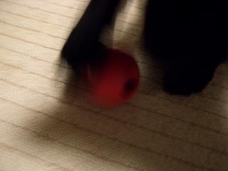 f0107145_1130377.jpg