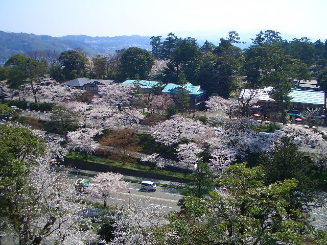 e0002850_20511846.jpg