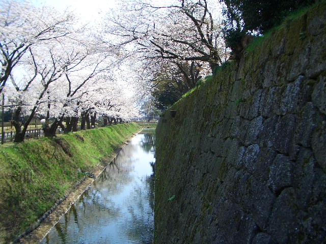 e0002850_20514123.jpg