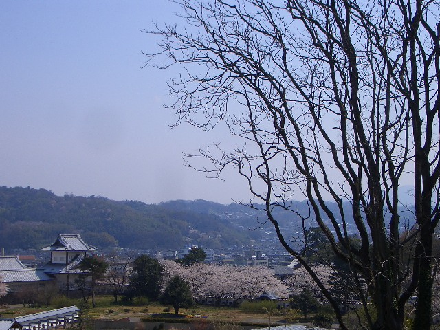 e0002850_20565484.jpg