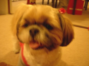 c0043751_20930.jpg