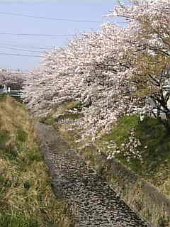 c0069552_2254669.jpg