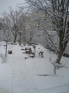 a0075455_14394190.jpg