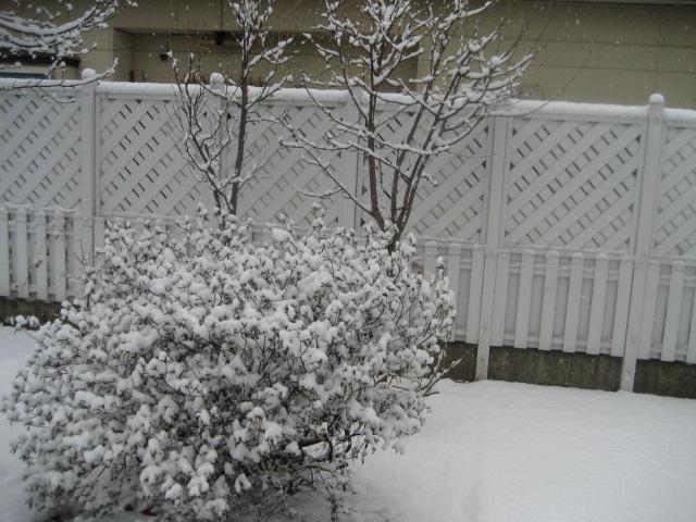 a0075455_1439793.jpg