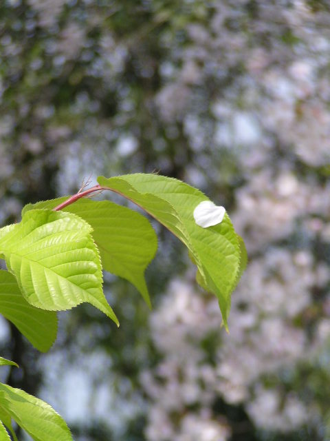 f0074659_23265417.jpg