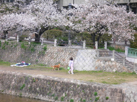 a0063364_0401814.jpg