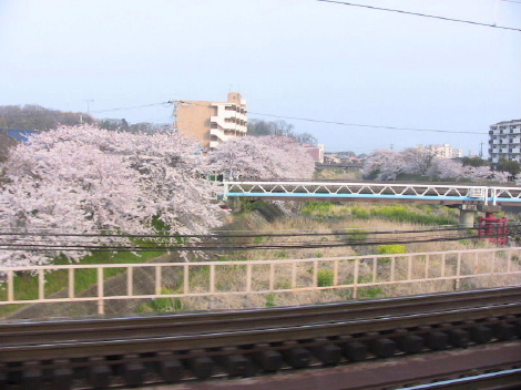 a0063364_0495198.jpg