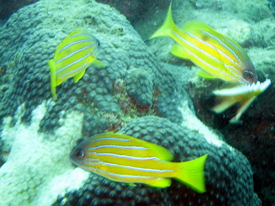 a0002177_22223020.jpg