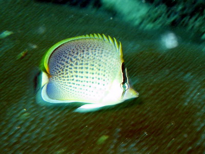 a0002177_2222505.jpg
