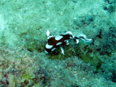 a0002177_22231826.jpg