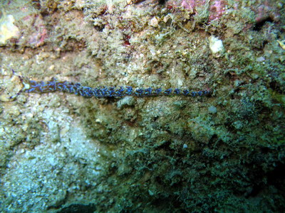 a0002177_22242222.jpg