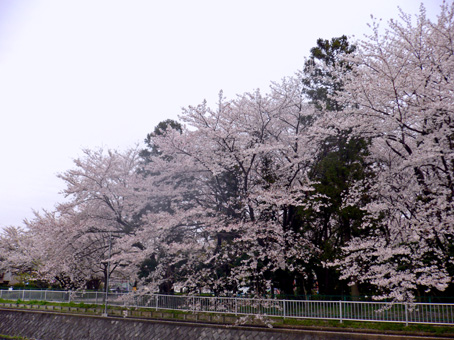 e0112077_4325813.jpg
