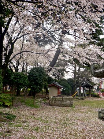 e0112077_4433443.jpg