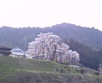 f0116278_1435164.jpg