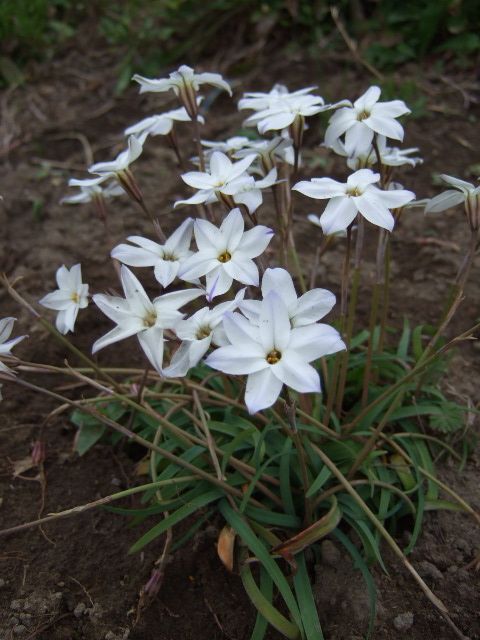 a0094280_2385145.jpg