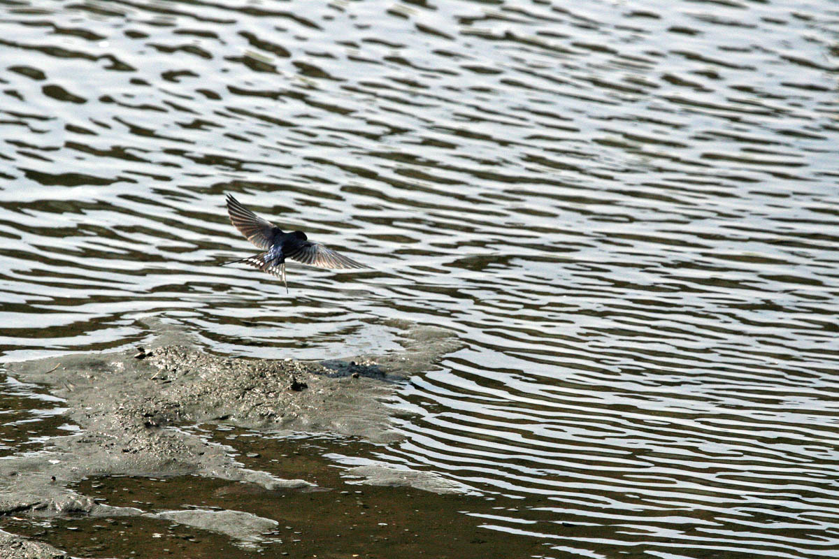 a0083081_18171139.jpg