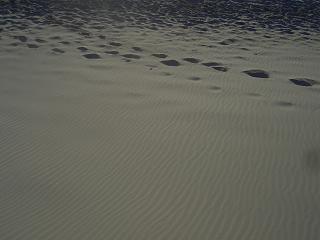 f0098983_11026.jpg