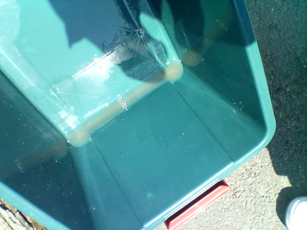 e0018485_16575743.jpg