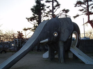 f0043790_246358.jpg