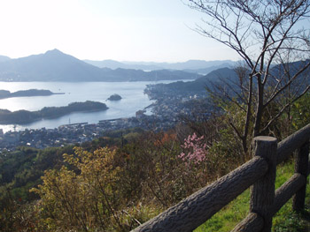 f0043790_384554.jpg
