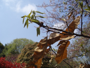 f0130894_21182727.jpg