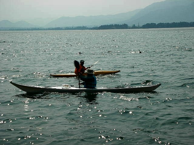 f0083400_1533157.jpg