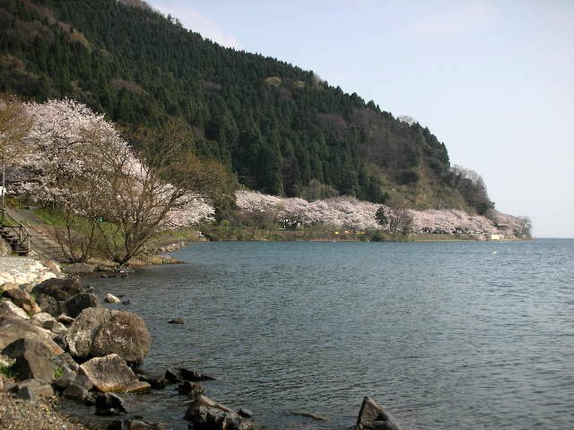 f0083400_15381321.jpg