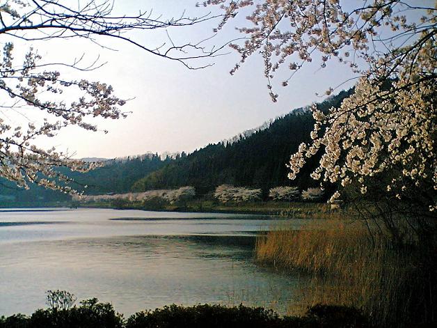 f0083400_1624127.jpg