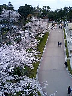 f0099902_22273431.jpg
