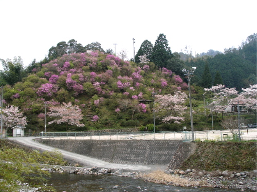 c0036203_20535925.jpg