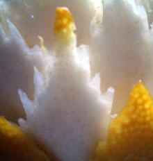 f0136109_6413747.jpg