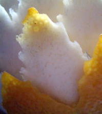 f0136109_6415816.jpg