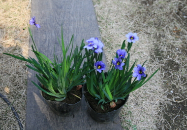 e0102713_15171710.jpg