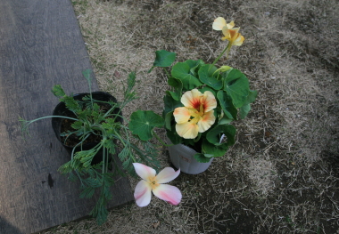 e0102713_15174471.jpg