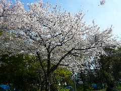 c0002614_19254961.jpg