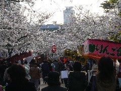 c0002614_1927851.jpg