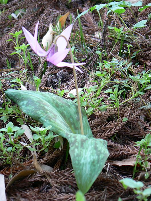 c0086014_22343942.jpg