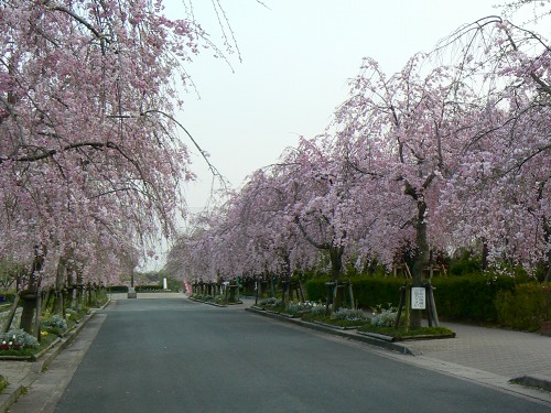 e0075015_345799.jpg