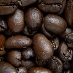 c0036617_1610047.jpg