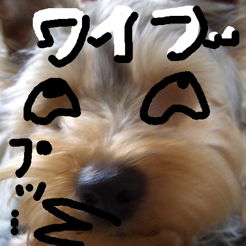 c0036617_16414935.jpg