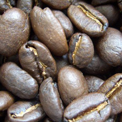 c0036617_1681650.jpg