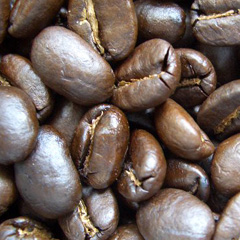 c0036617_1683755.jpg
