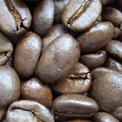c0036617_1691164.jpg