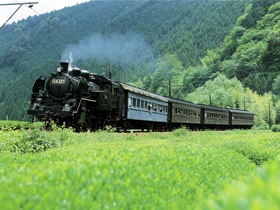 d0035823_1759537.jpg