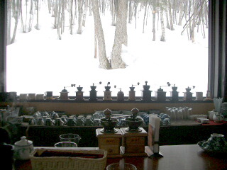 d0068023_1312583.jpg