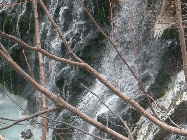 d0068023_1471015.jpg