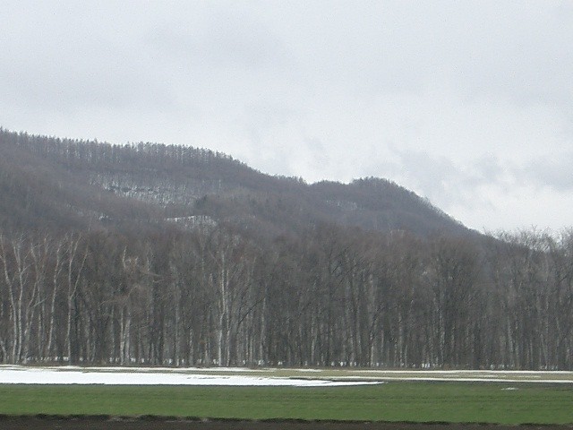 d0068023_148793.jpg