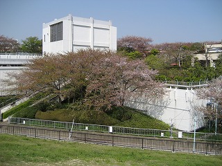 b0006329_21541923.jpg